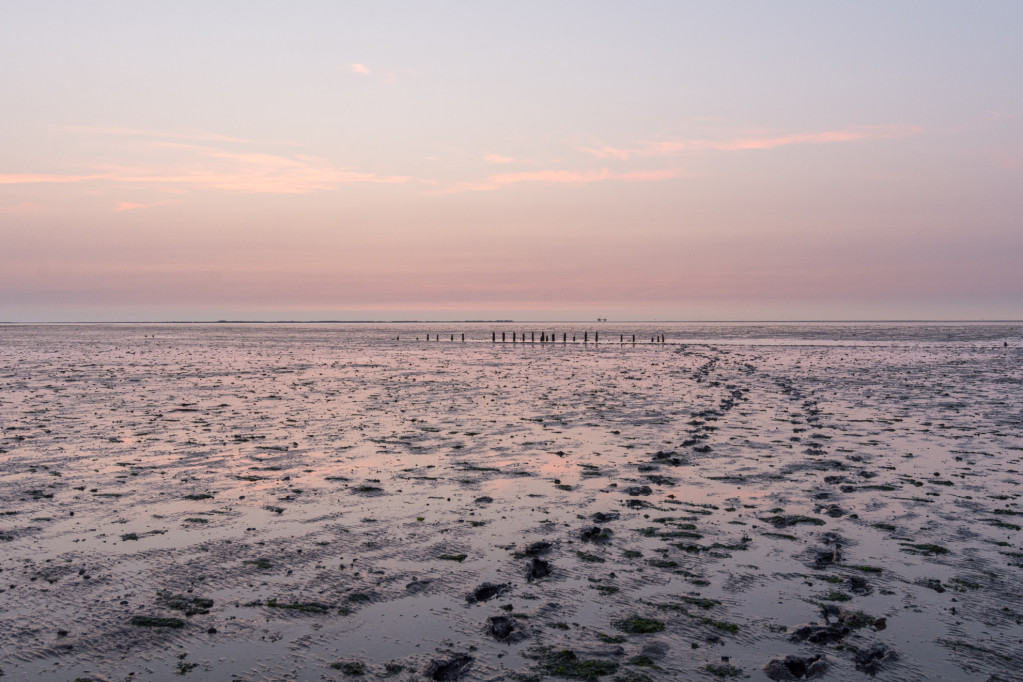 waddenzee